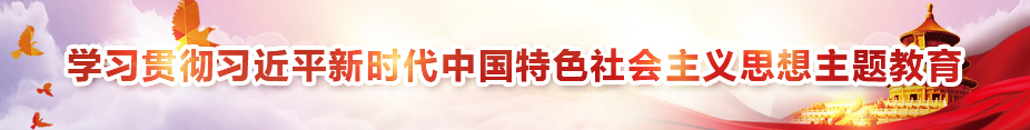 学习贯彻习近平新时代中国特色社会主义思想主题教育