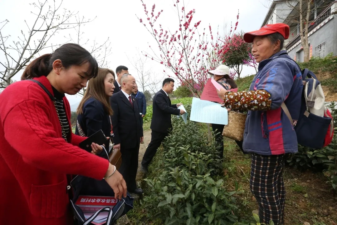 旺苍县高端网站建设_(旺苍县高端网站建设项目招标)